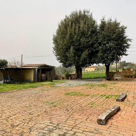 Podere Piazza Siena Luaran gambar